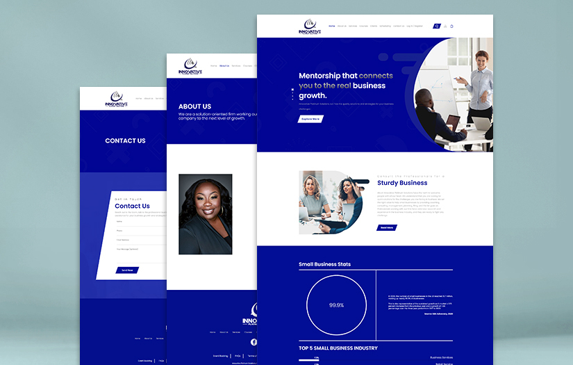 Innovative Platinum Solutions screenshot 1
