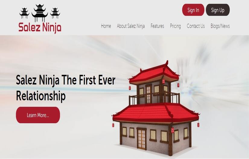 Salez Ninja screenshot 1