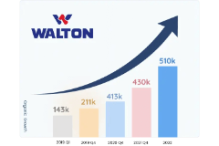 Walton SEO Case Study Summary