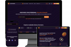 Blockchain Domain Solutions