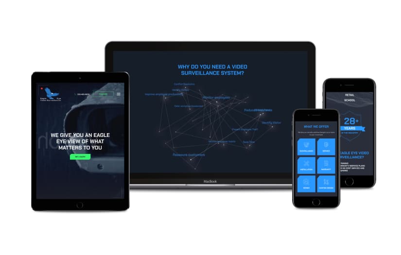 Eagle Eye Video Surveillance, LLC screenshot 2