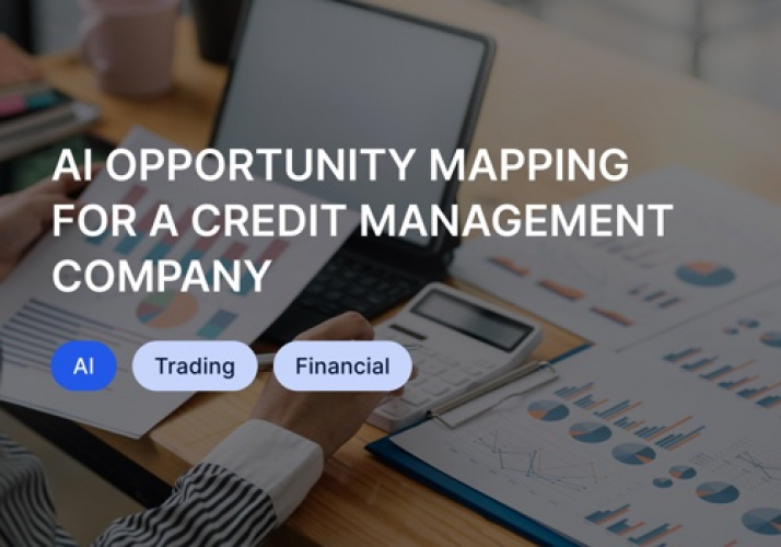 AI opportunity mapping for credit management screenshot 1