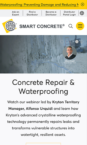 Kryton International Inc. screenshot 1