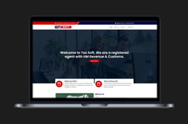 Tax-Soft - Tax Consultant Website