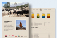 Feeding the Future: Online Agricultural Success