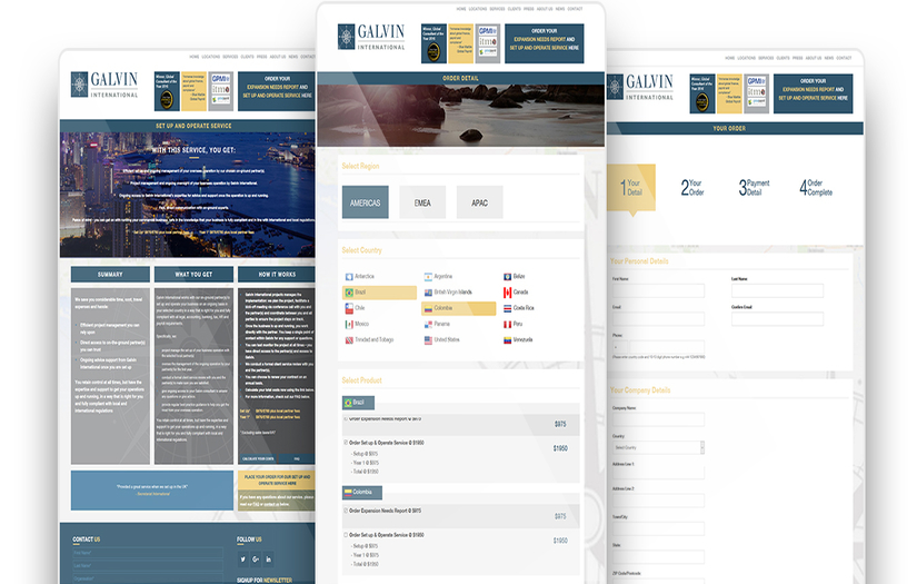 GALVIN INTERNATIONAL screenshot 1