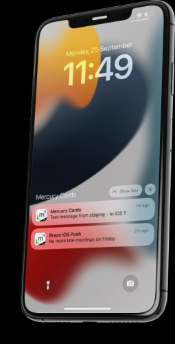 Mercury Financial: Native apps for credit products screenshot 1