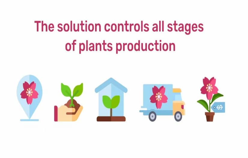 Legacy System Migration for a Plant Growing Company screenshot 1