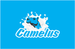 Camelus