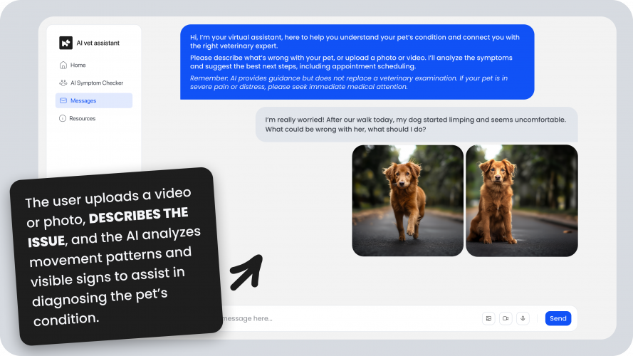 AI tool for the veterinary platform screenshot 2