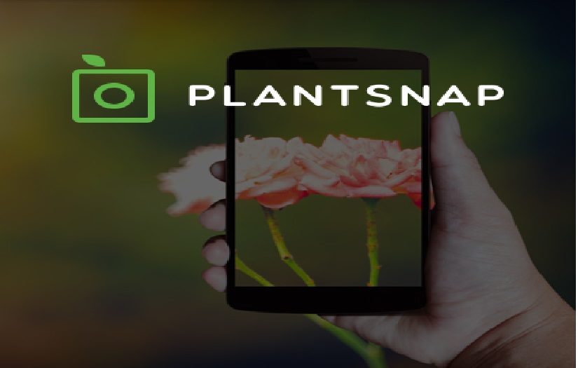 getSmartcoders Software Development Company Reviews