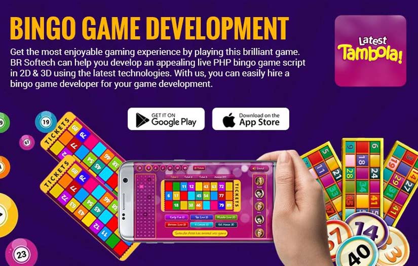 Bingo Game Development screenshot 1