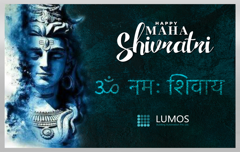 Lumos Solution screenshot 5