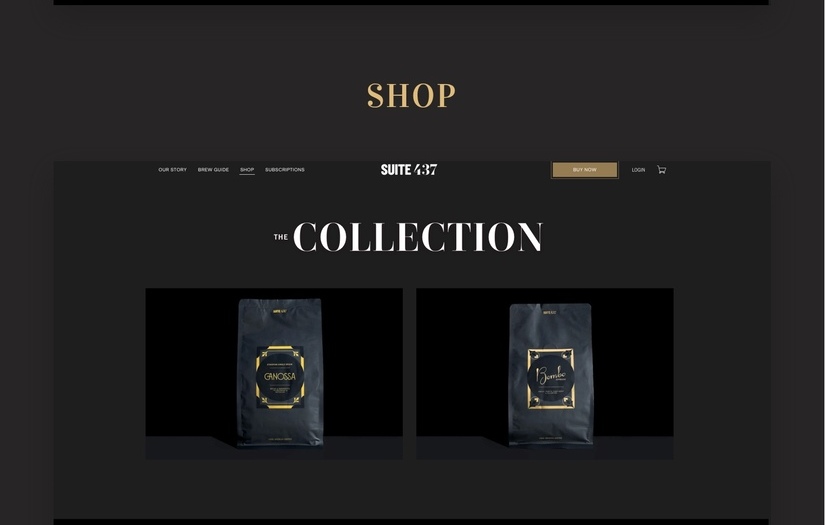 Shopfiy Development for Suite 437 screenshot 1