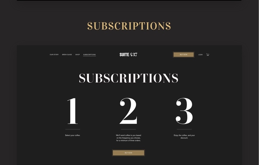 Shopfiy Development for Suite 437 screenshot 3