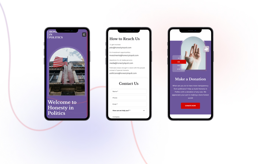 Honesty in Politics screenshot 1