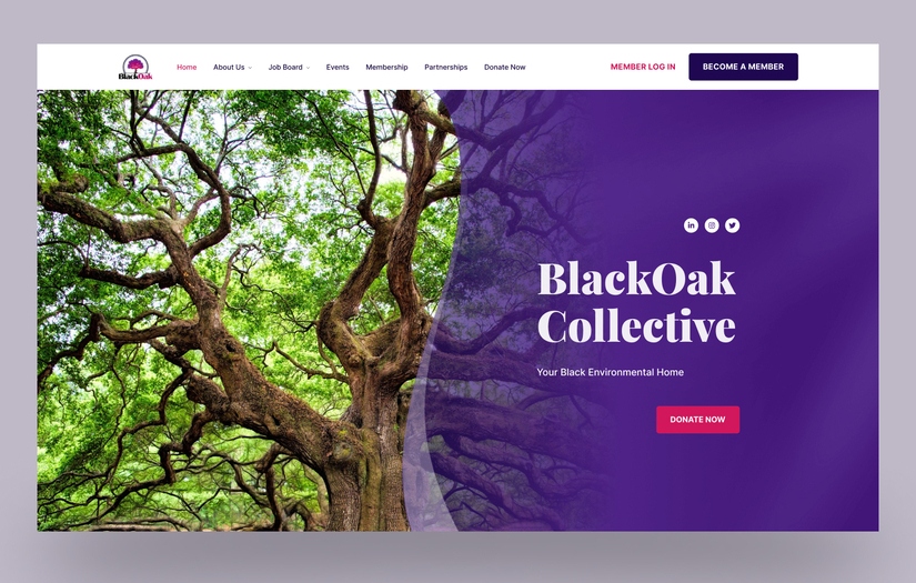 BlackOak Collective screenshot 2