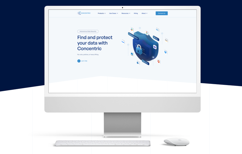 Concentric AI screenshot 2