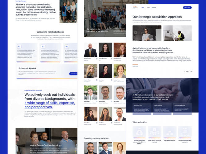 AlpineX screenshot 2