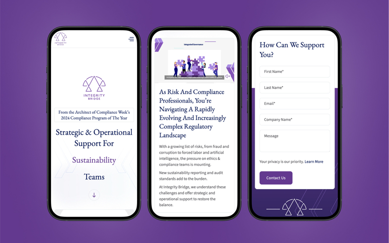 Integrity Bridge LLC screenshot 1
