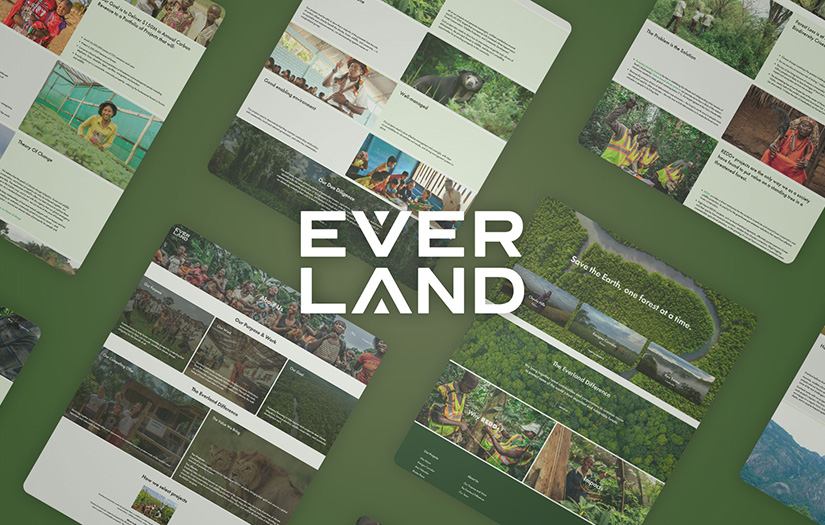 Everland screenshot 1