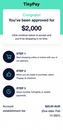 TinyPay - On-demand Loan Disbursement App screenshot 2
