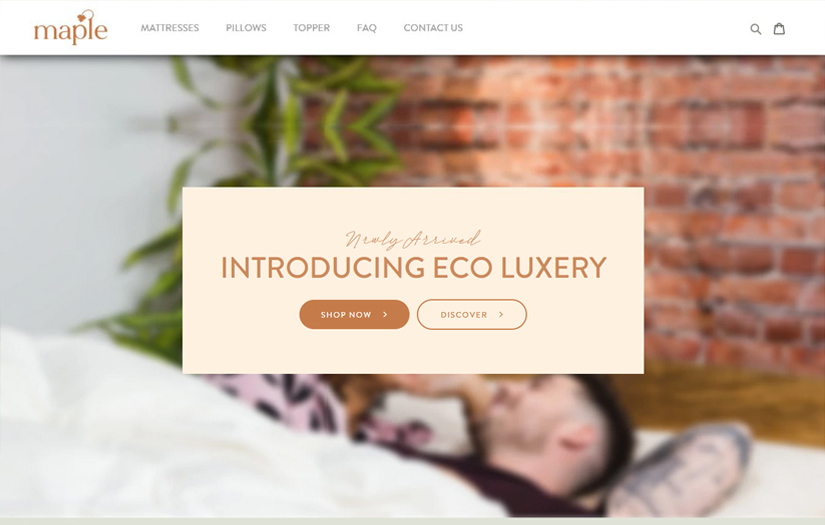 Ecommerce Website Using Shopify screenshot 1
