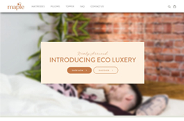 Ecommerce Website Using Shopify