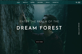 Dream Forest Singapore