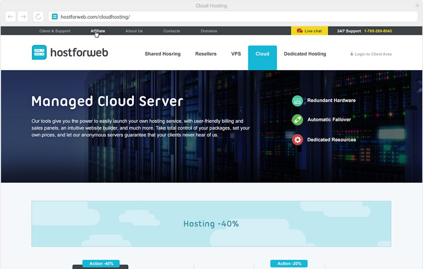 Ecommerce Website for HostForWeb Service Company screenshot 2