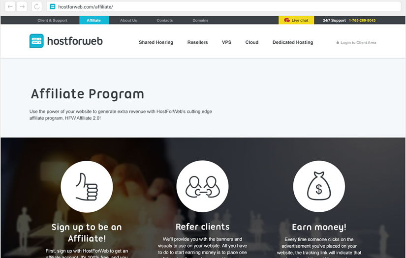 Ecommerce Website for HostForWeb Service Company screenshot 5
