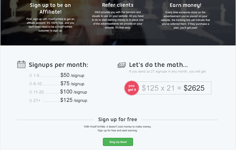 Ecommerce Website for HostForWeb Service Company screenshot 6