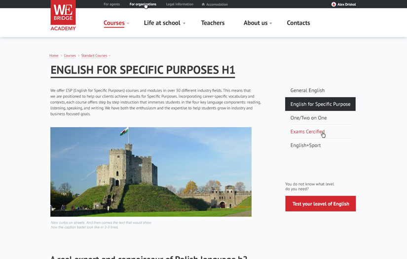 Responsive Web Portal for a UK Language Academy screenshot 3