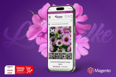 UI/UX Optimization for a Magento Store