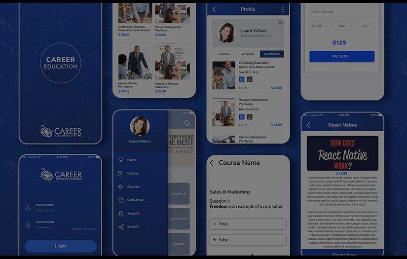 The Career Education system presents education Courses screenshot 1