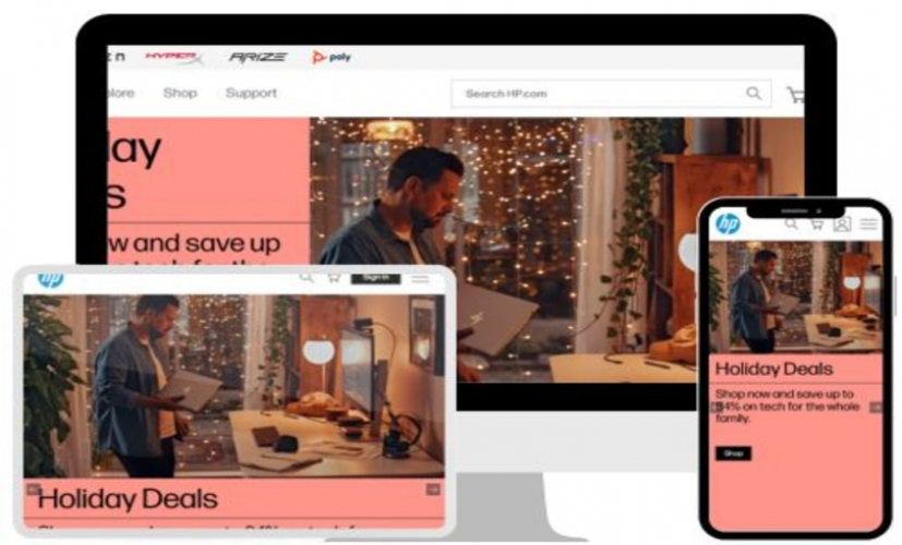 Web Development Services | HP screenshot 1