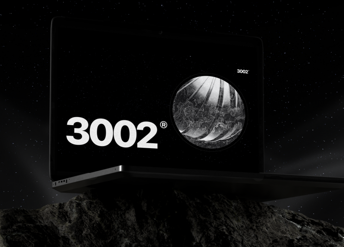 PROJECT 3002 screenshot 2