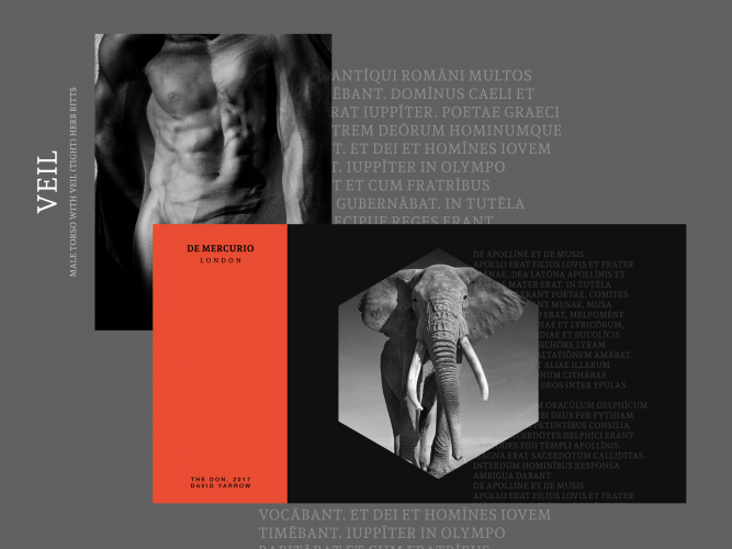 Fashion Website Design screenshot 4