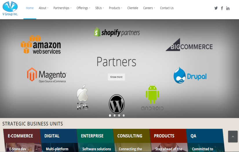 V Group Inc, screenshot 1