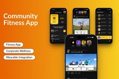 Gamified Wellness Application