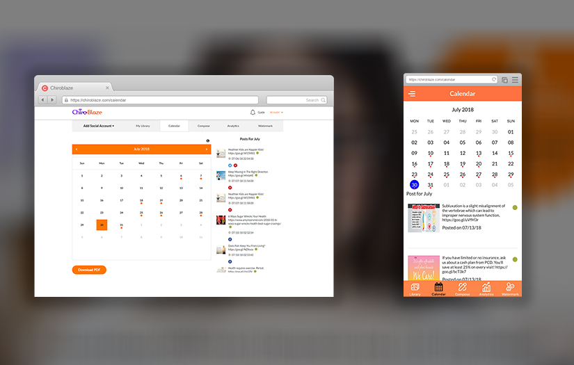 ChiroBlaze screenshot 2