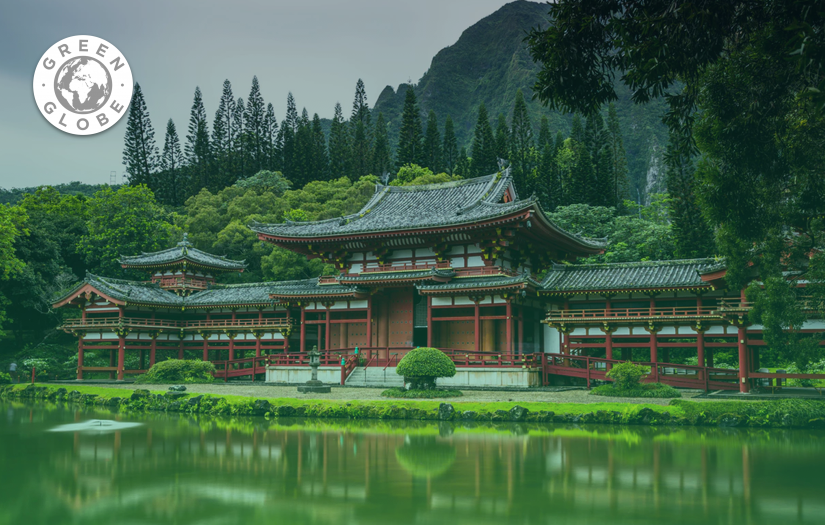 Green Globe screenshot 1