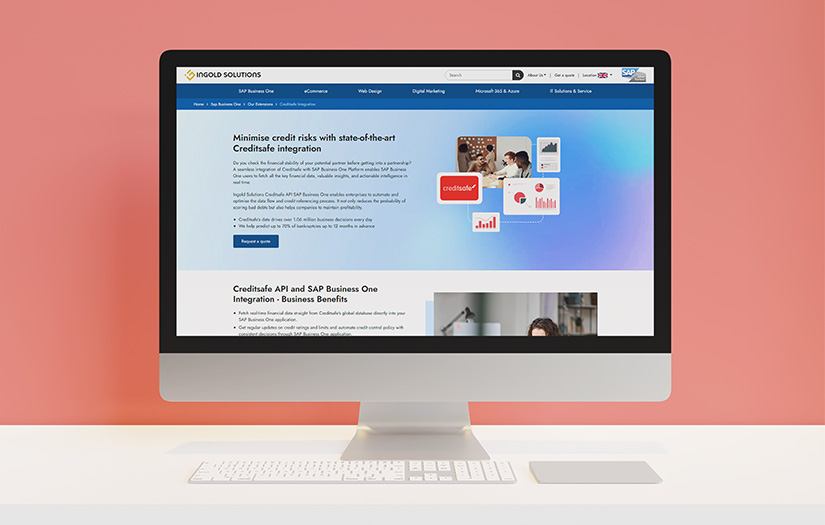 SAP Business One Creditsafe API integration screenshot 1