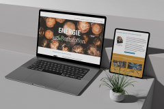 Microsoft 365 Support for Clinx Energy