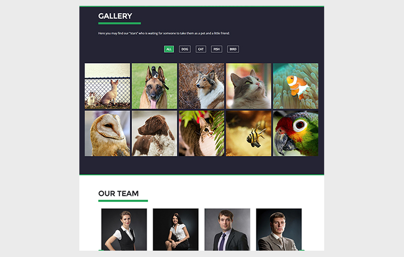 SingleZoo screenshot 3