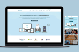 SA Professional corporate website design and development