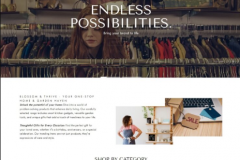 Theventurehubs (Shopify Store)