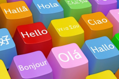 09899312998 Russian Translator Translation Delhi