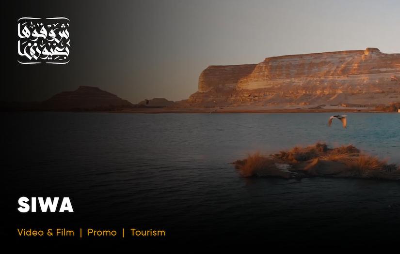 شوفوها بعيونا screenshot 1