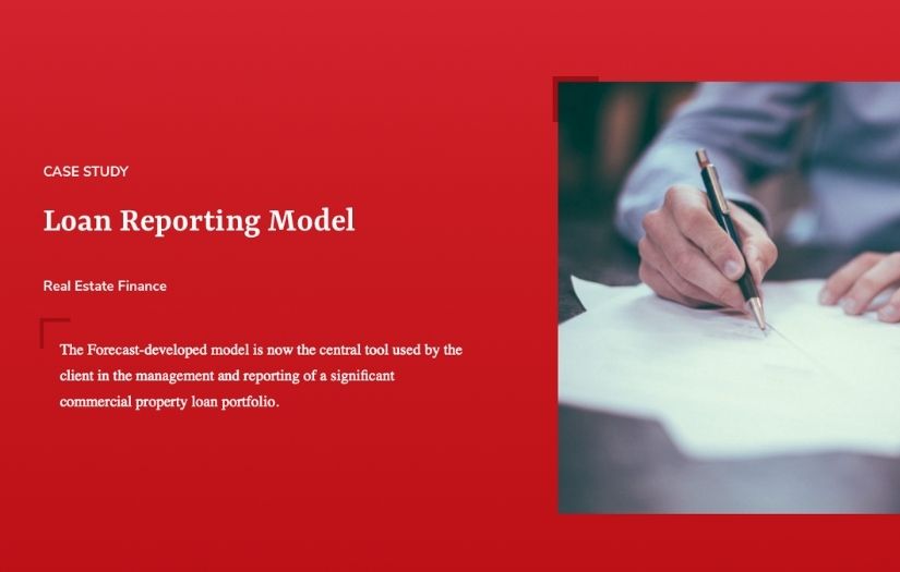 Loan Reporting Model​ screenshot 1